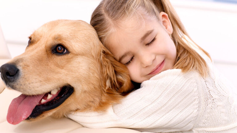 Evcil Hayvan Sorumluluğu: Köpeğim Birine Zarar Verirse Ne Olur?